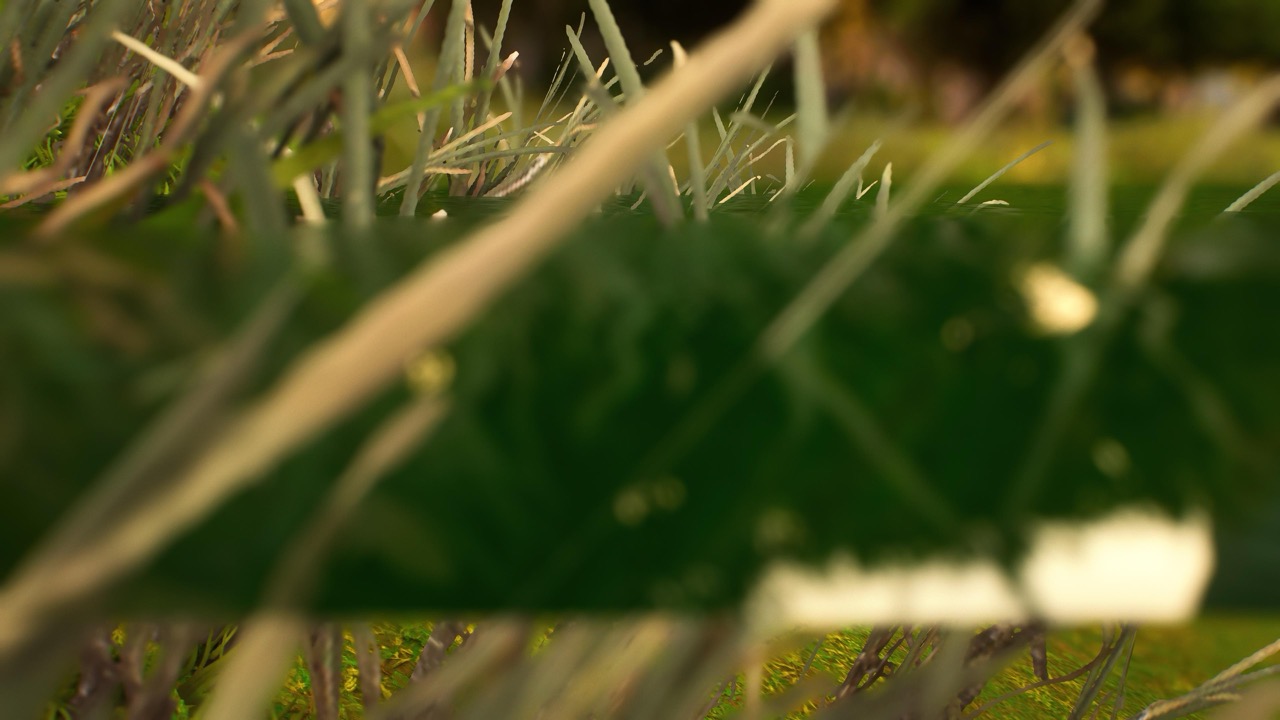 Studies on Breaking Immersion